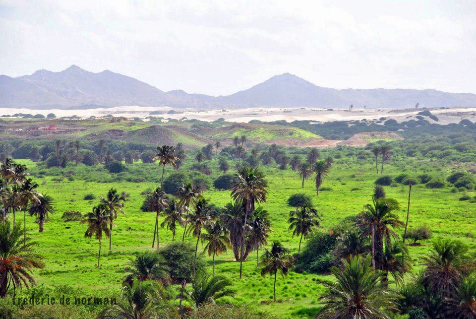 Oásis verde no interior da Boa Vista