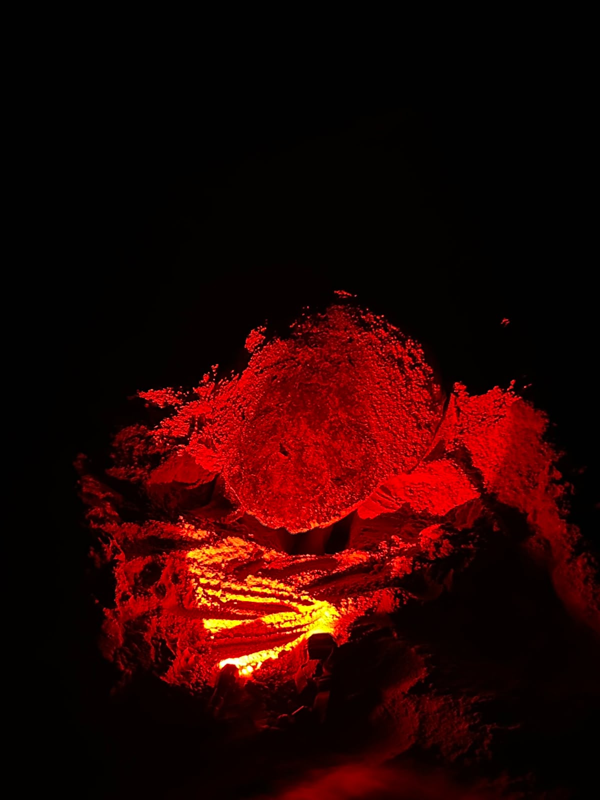 Desova de tartarugas na Boa Vista, observação com luz vermelha
